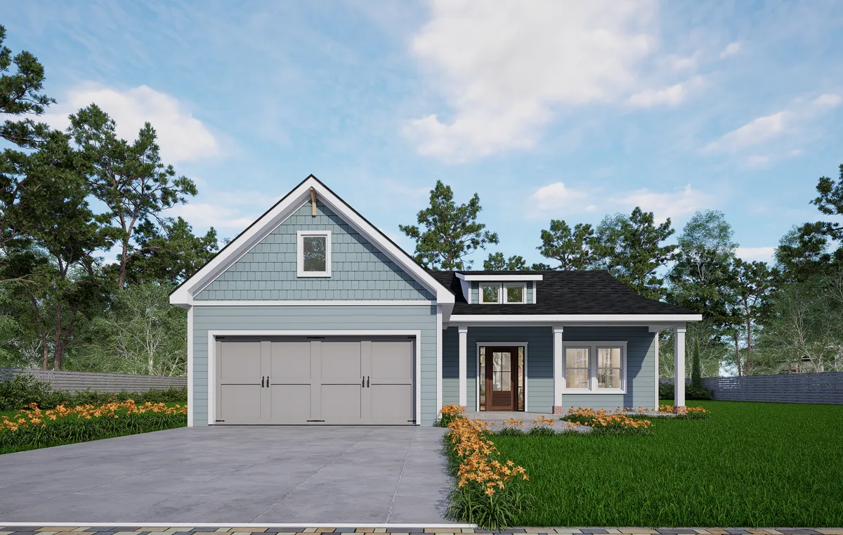 Photo Gallery: Olive