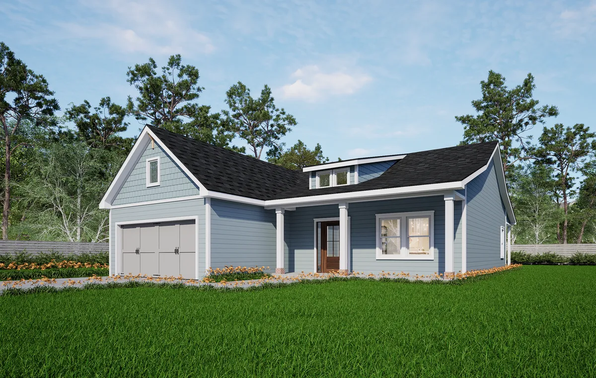 Photo Gallery: Olive