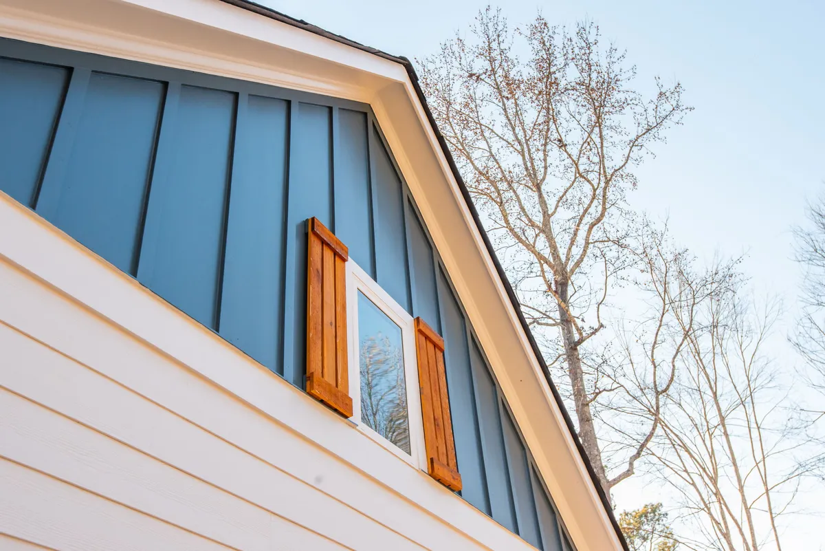 Photo Gallery: Olive