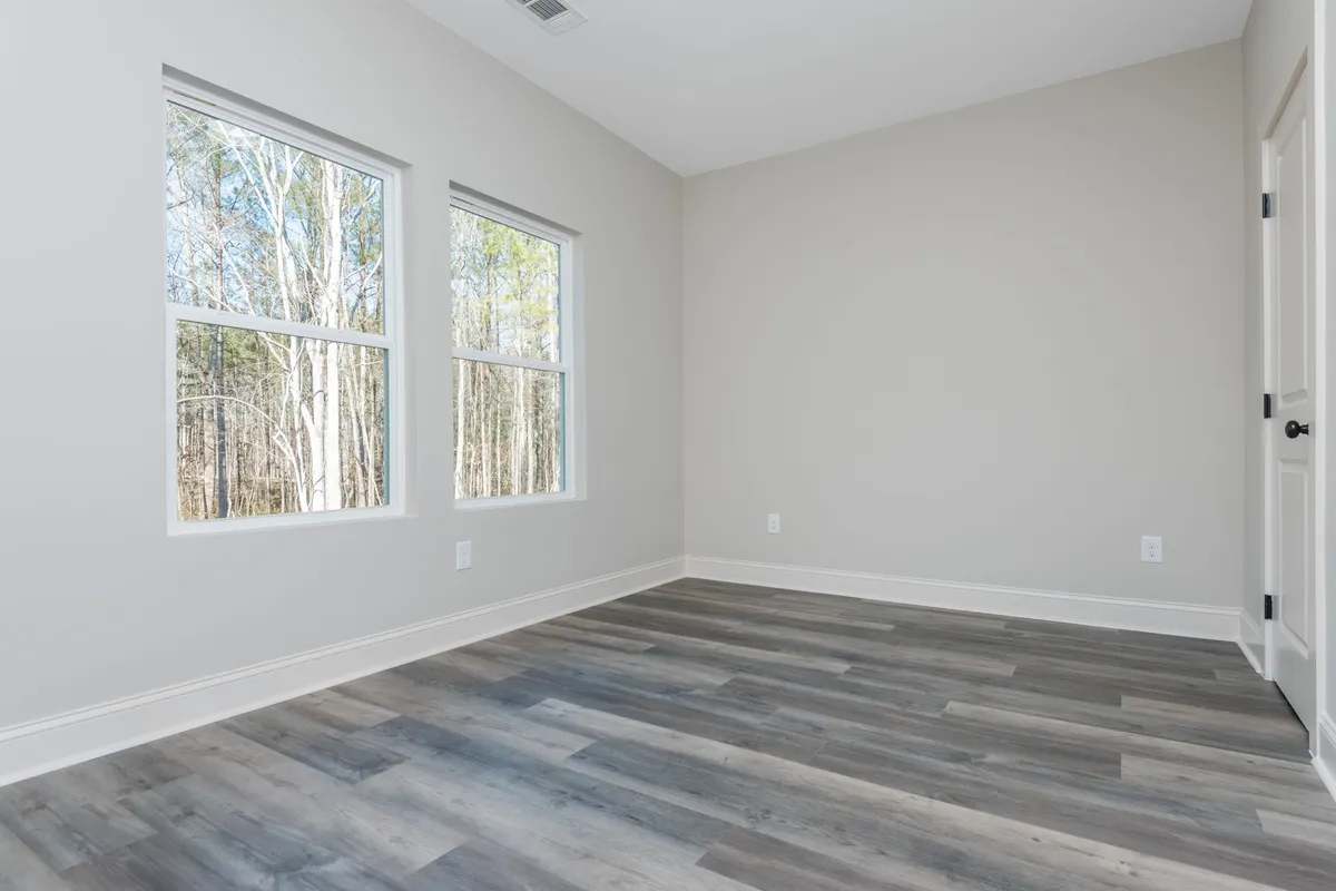 Photo Gallery: Olive