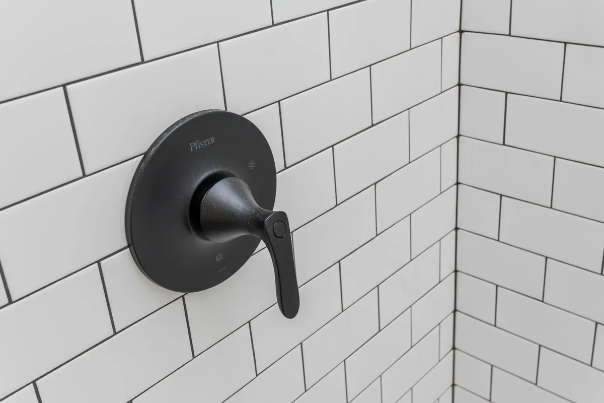 Photo Gallery: Olive