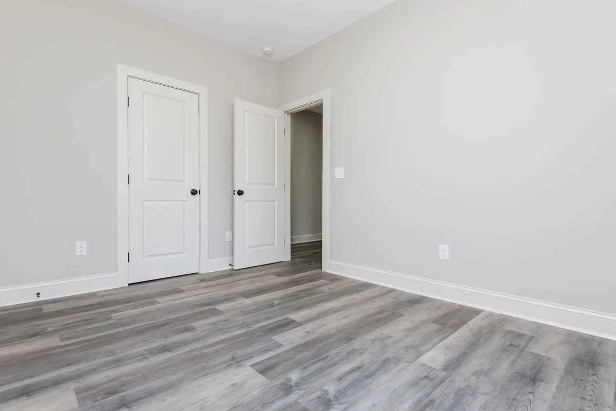 Photo Gallery: Olive